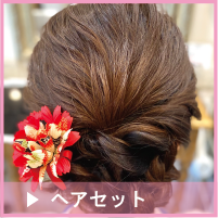 L-hair_set